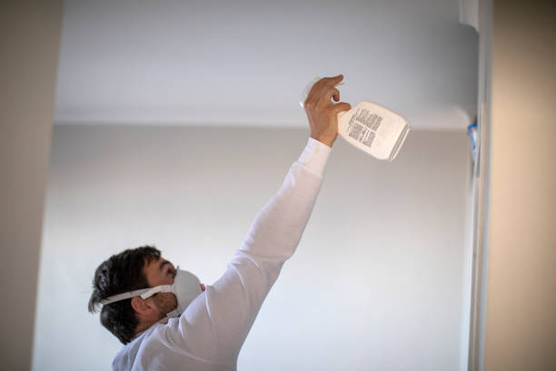 Best Mold Removal and Inspection  in Enumclaw, WA