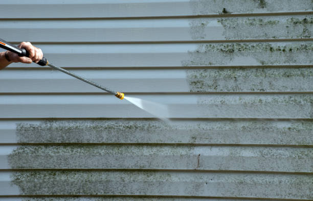 Professional Mold Removal in Enumclaw, WA