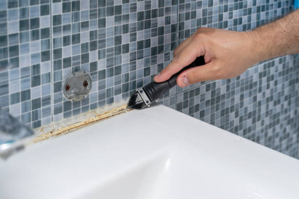 Best Affordable Mold Removal  in Enumclaw, WA